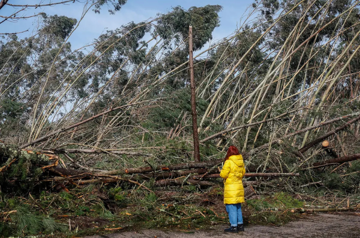 GOVERNMENT LAUNCHES SUPPORT OF UP TO 2.5 MILLION FOR CLEANING AREAS AFFECTED BY STORM KRISTIN